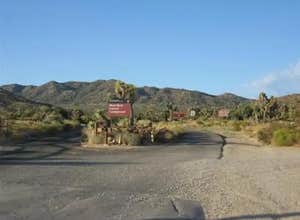 Black Rock Campground — Joshua Tree National Park