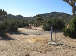 Black Rock Campground — Joshua Tree National Park