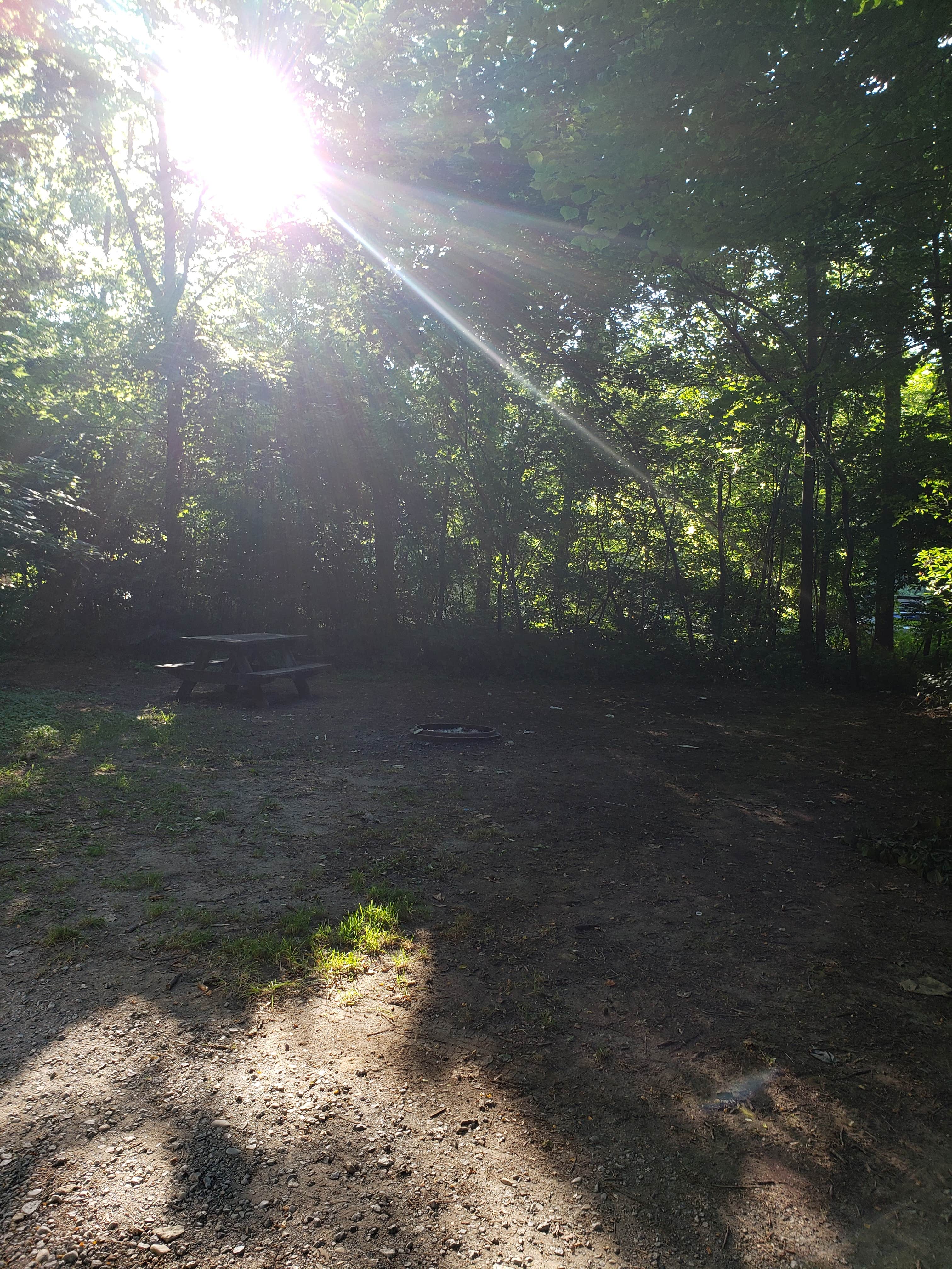 Site #P10