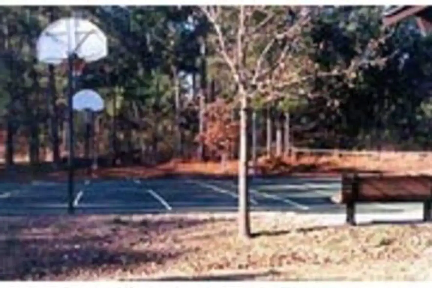 Camper-submitted photo at Piney Grove near Fulton, MS