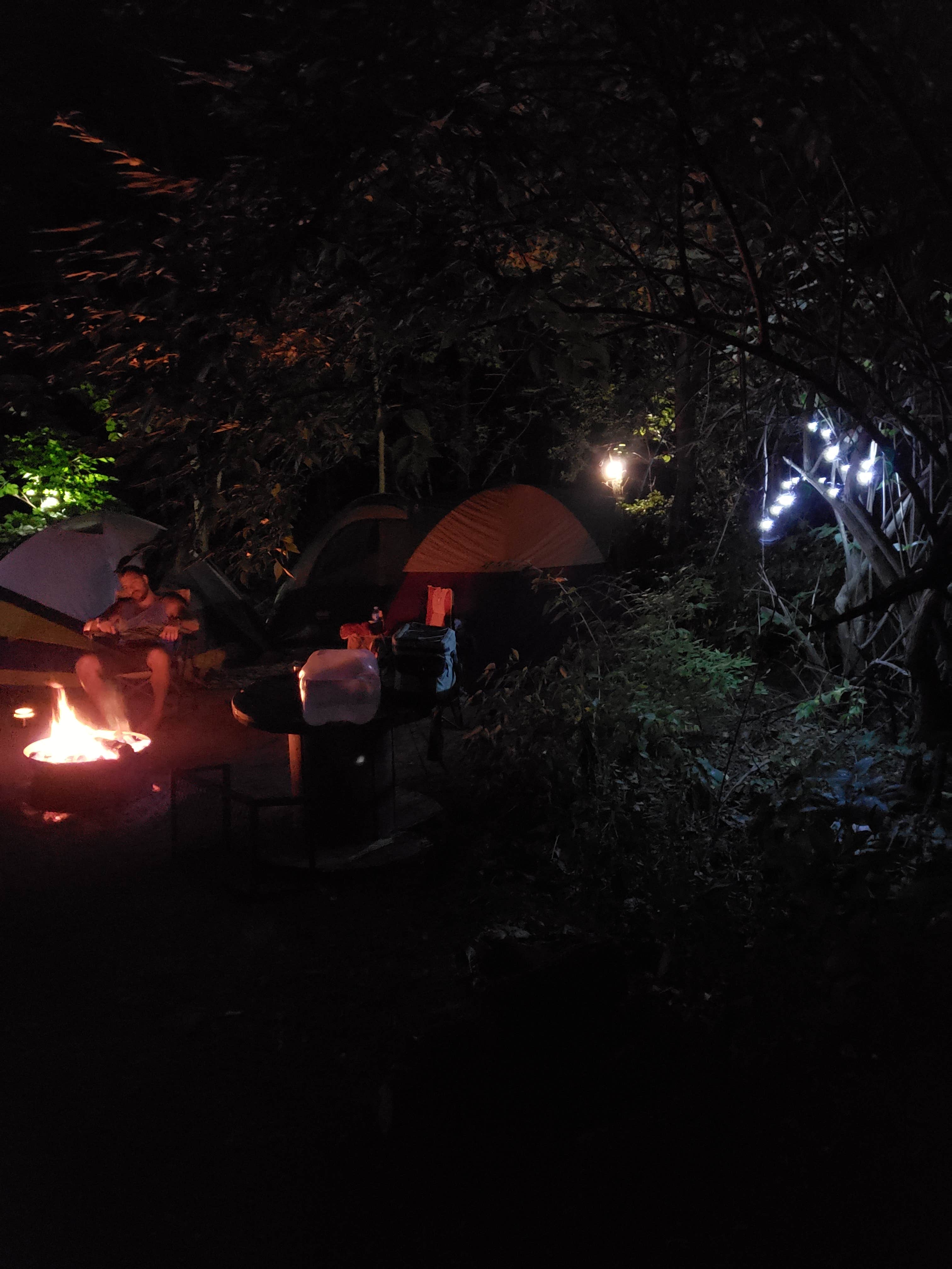Site #P1