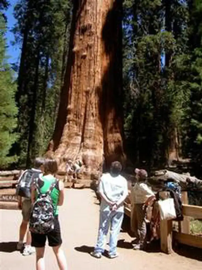 Camper-submitted photo at Lodgepole Campground — Sequoia National Park near Kaweah, CA
