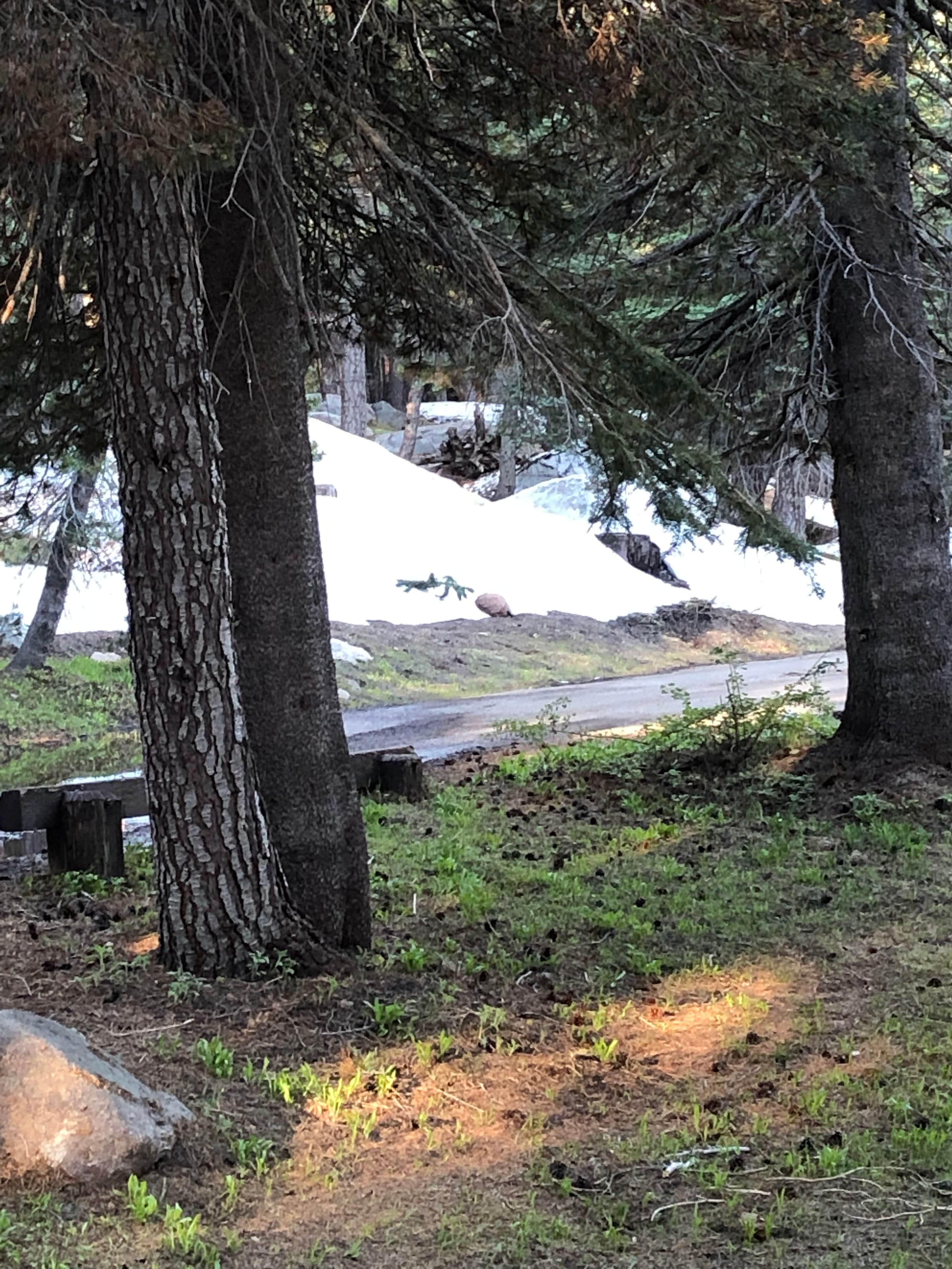 Lake alpine outlet silver valley campground