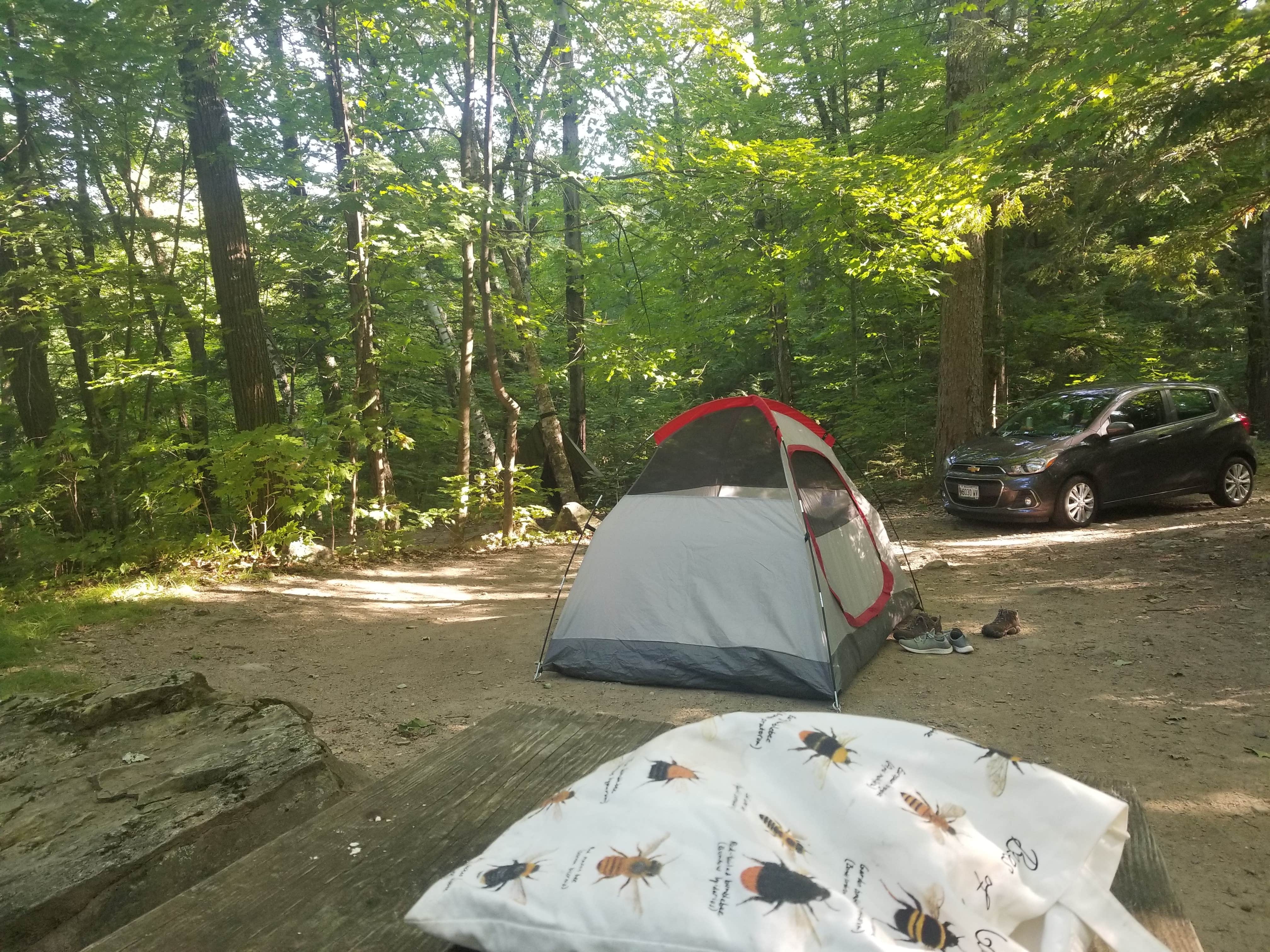 Catherine M.'s photo at Branbury State Park Campground near Green Mountain National Forest