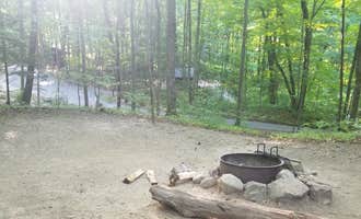Camping near Lake Bomoseen KOA: Branbury State Park Campground, Salisbury, Vermont