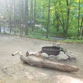 Review photo of Branbury State Park Campground by Catherine M., August 5, 2019