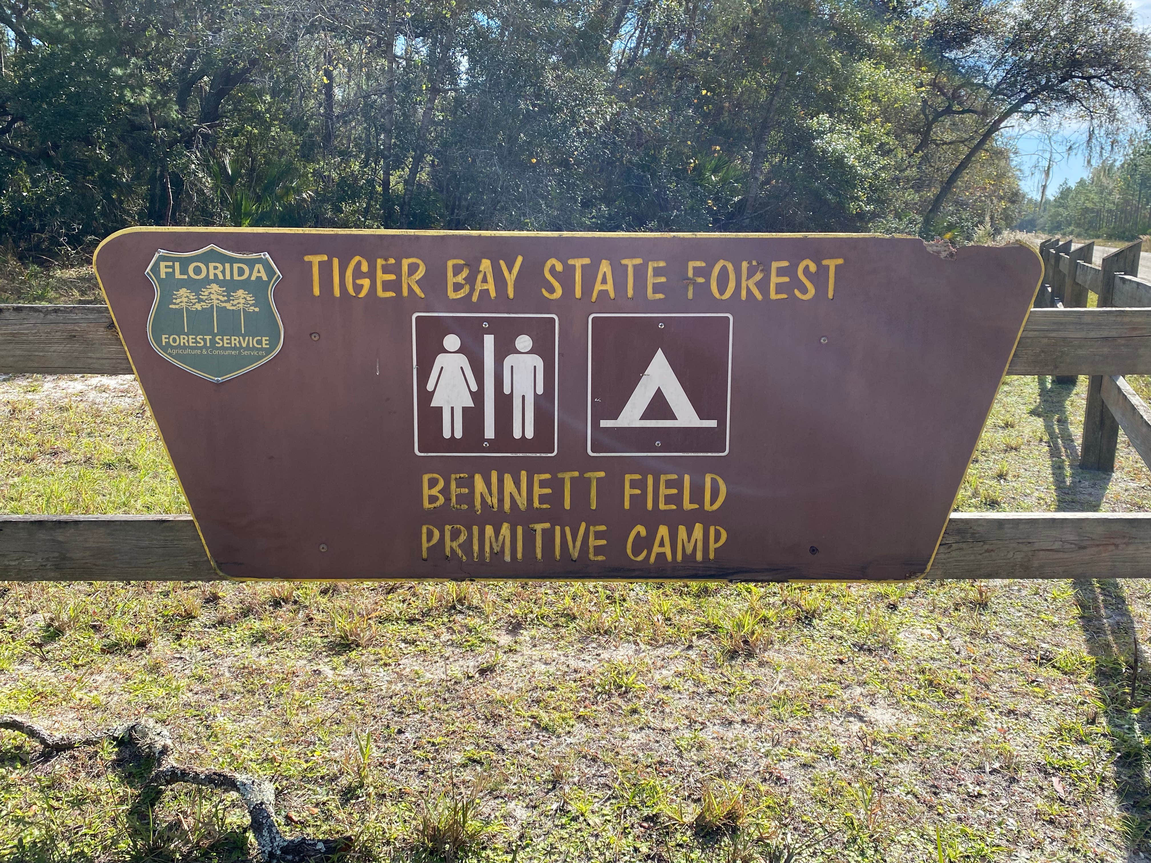 Camper-submitted photo at Bennett Field Group Camp — Tiger Bay State Forest near Ormond Beach, FL