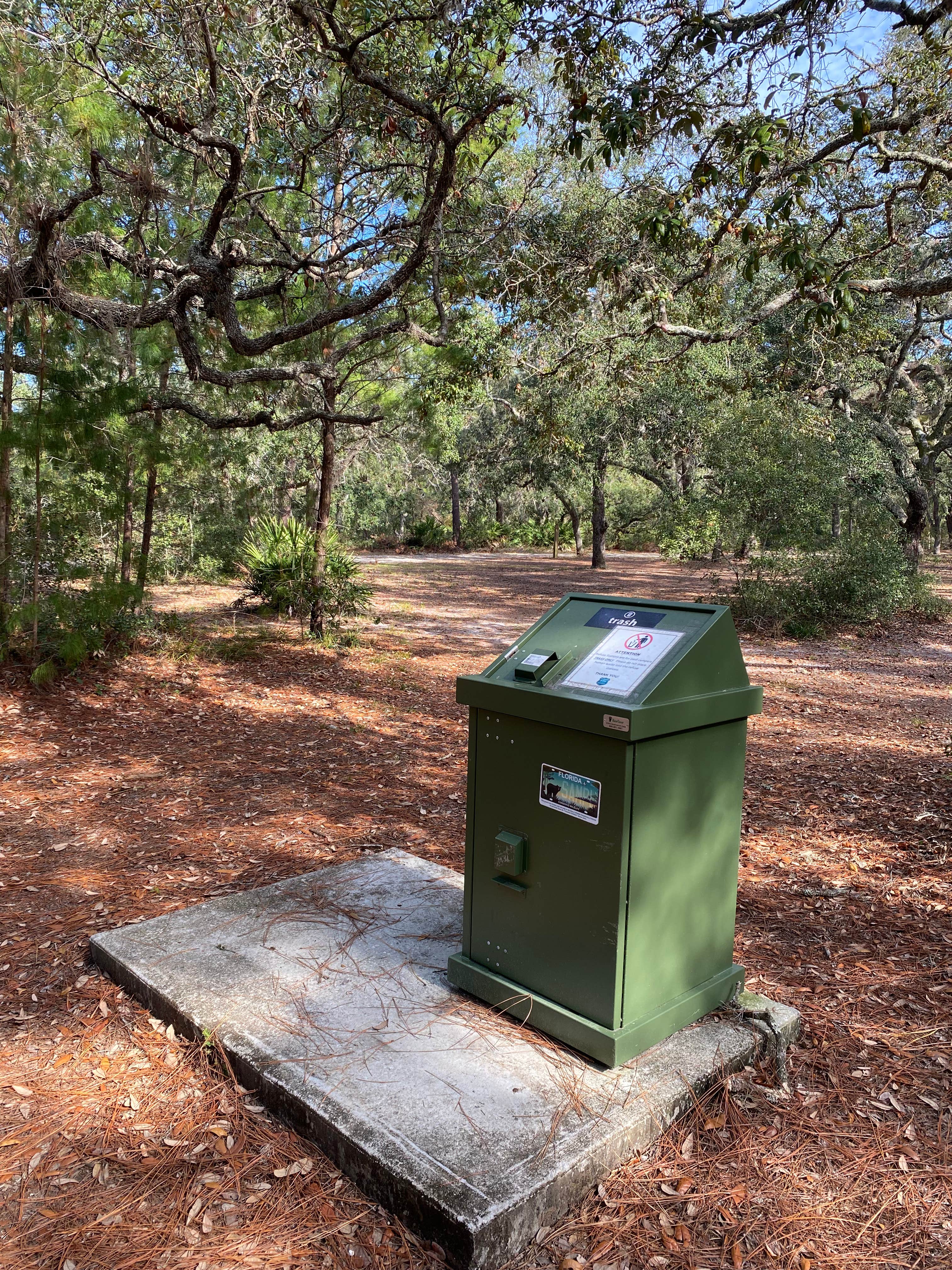 Camper-submitted photo at Bennett Field Group Camp — Tiger Bay State Forest near Ormond Beach, FL