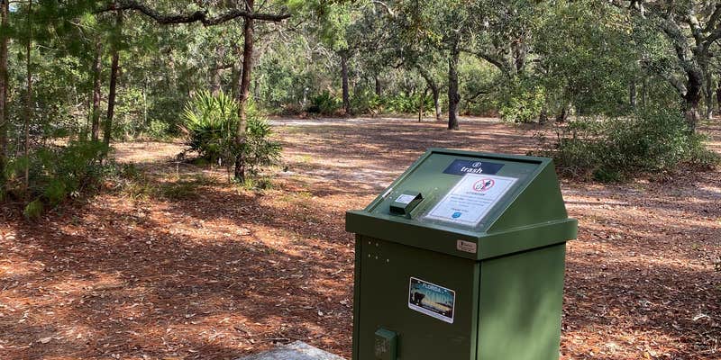 Camper submitted image from Bennett Field Group Camp — Tiger Bay State Forest