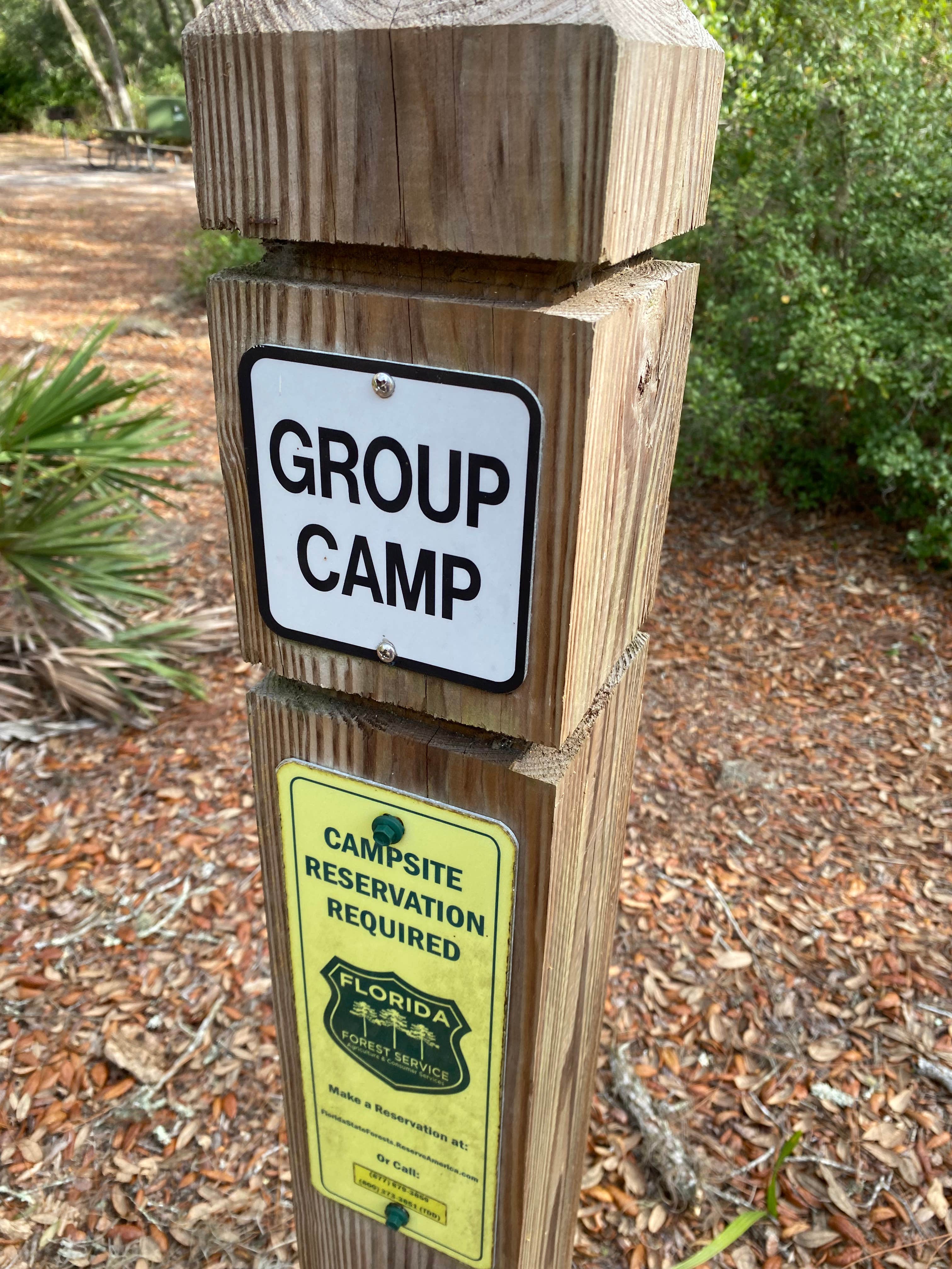 Camper submitted image from Bennett Field Group Camp — Tiger Bay State Forest - 3