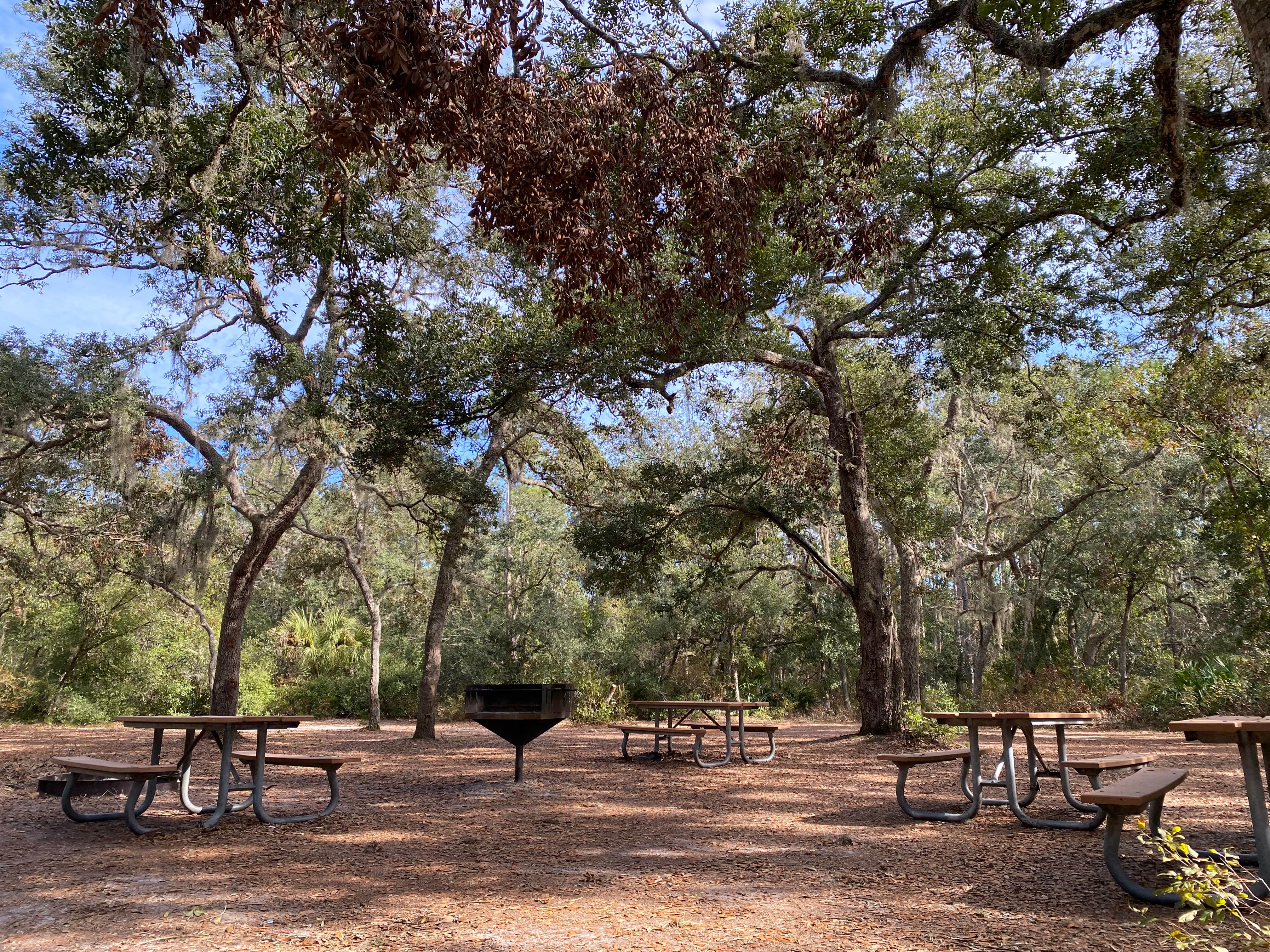 Camper submitted image from Bennett Field Group Camp — Tiger Bay State Forest - 2