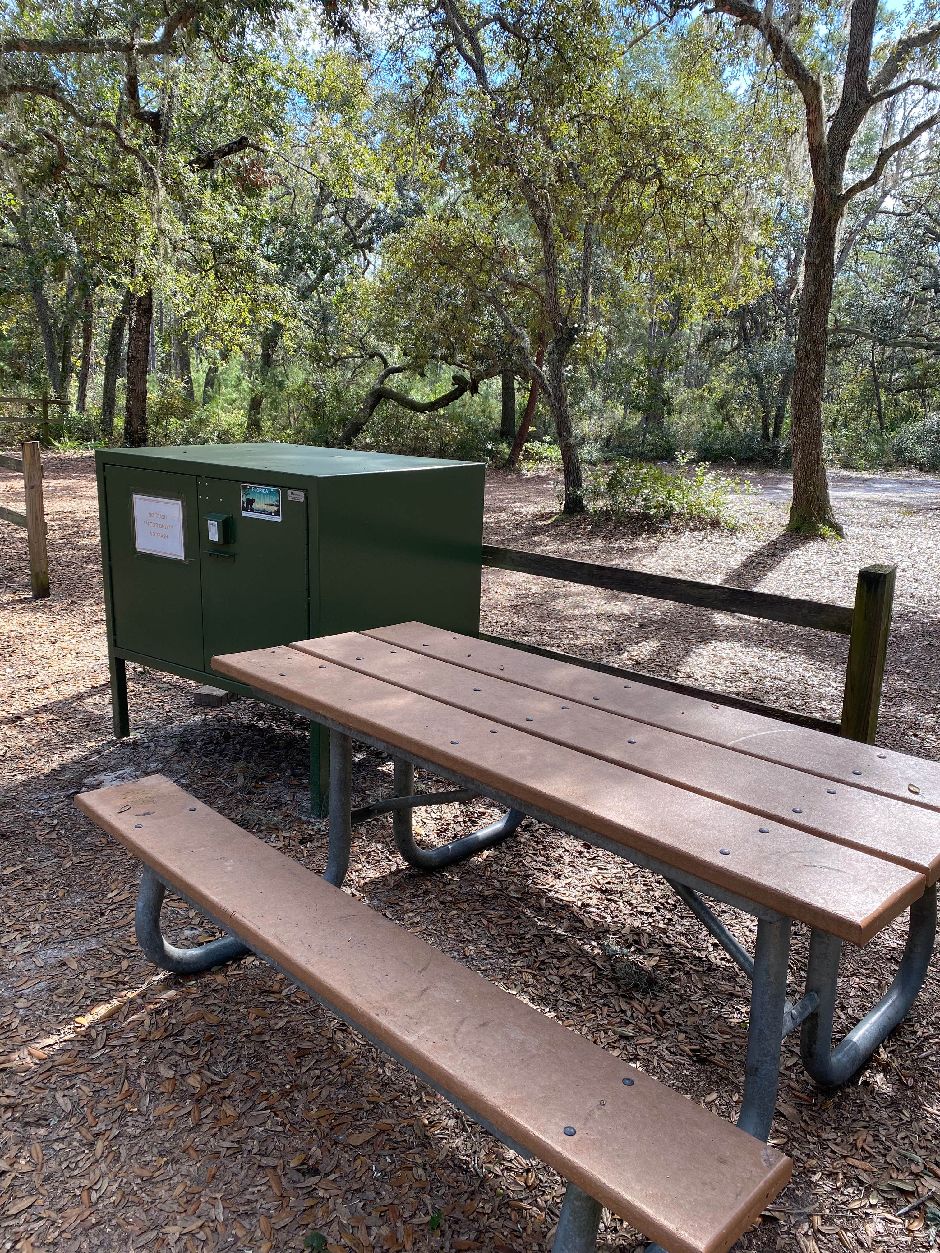 Camper-submitted photo at Bennett Field Group Camp — Tiger Bay State Forest near Ormond Beach, FL