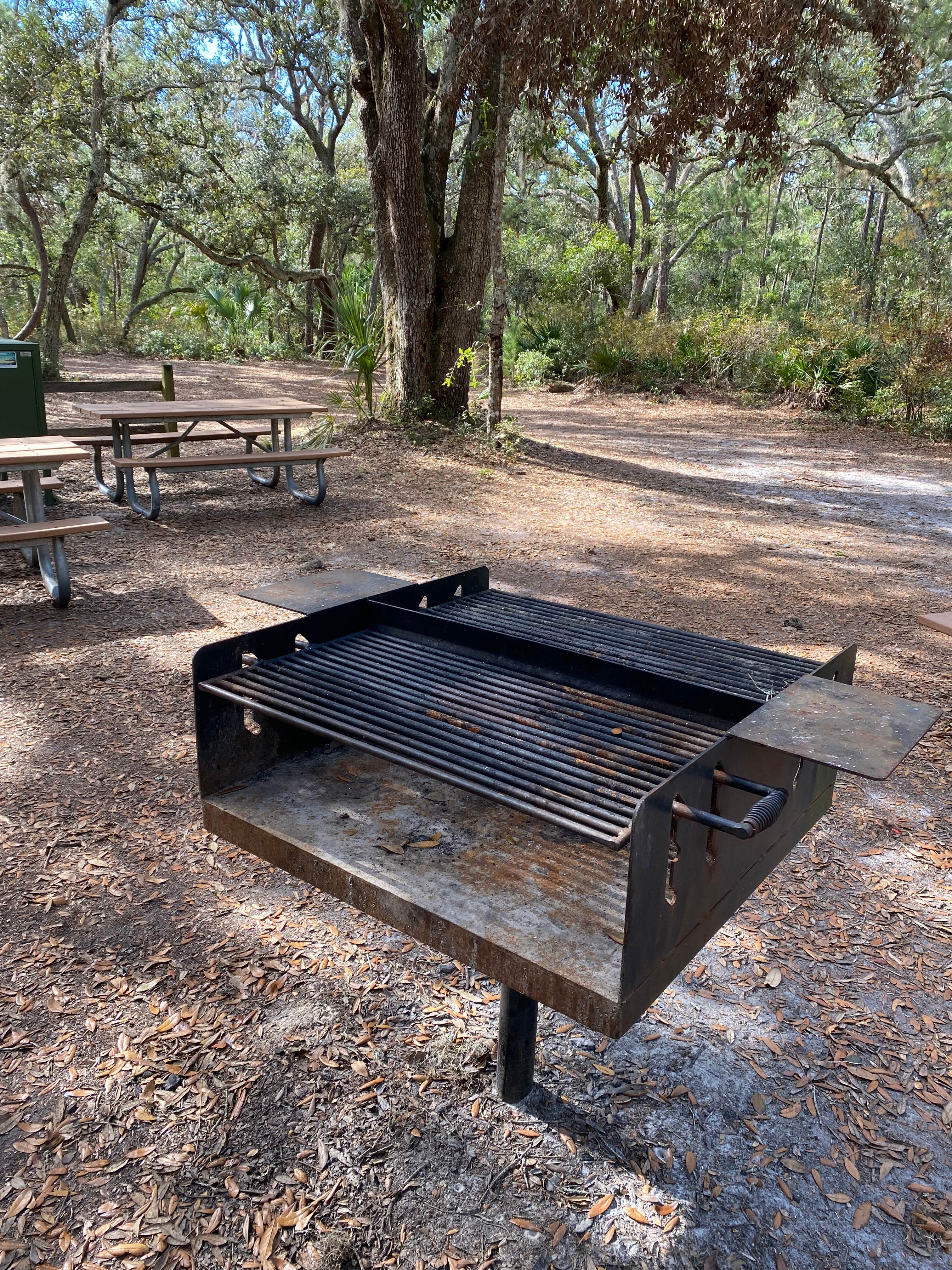 Camper-submitted photo at Bennett Field Group Camp — Tiger Bay State Forest near Ormond Beach, FL