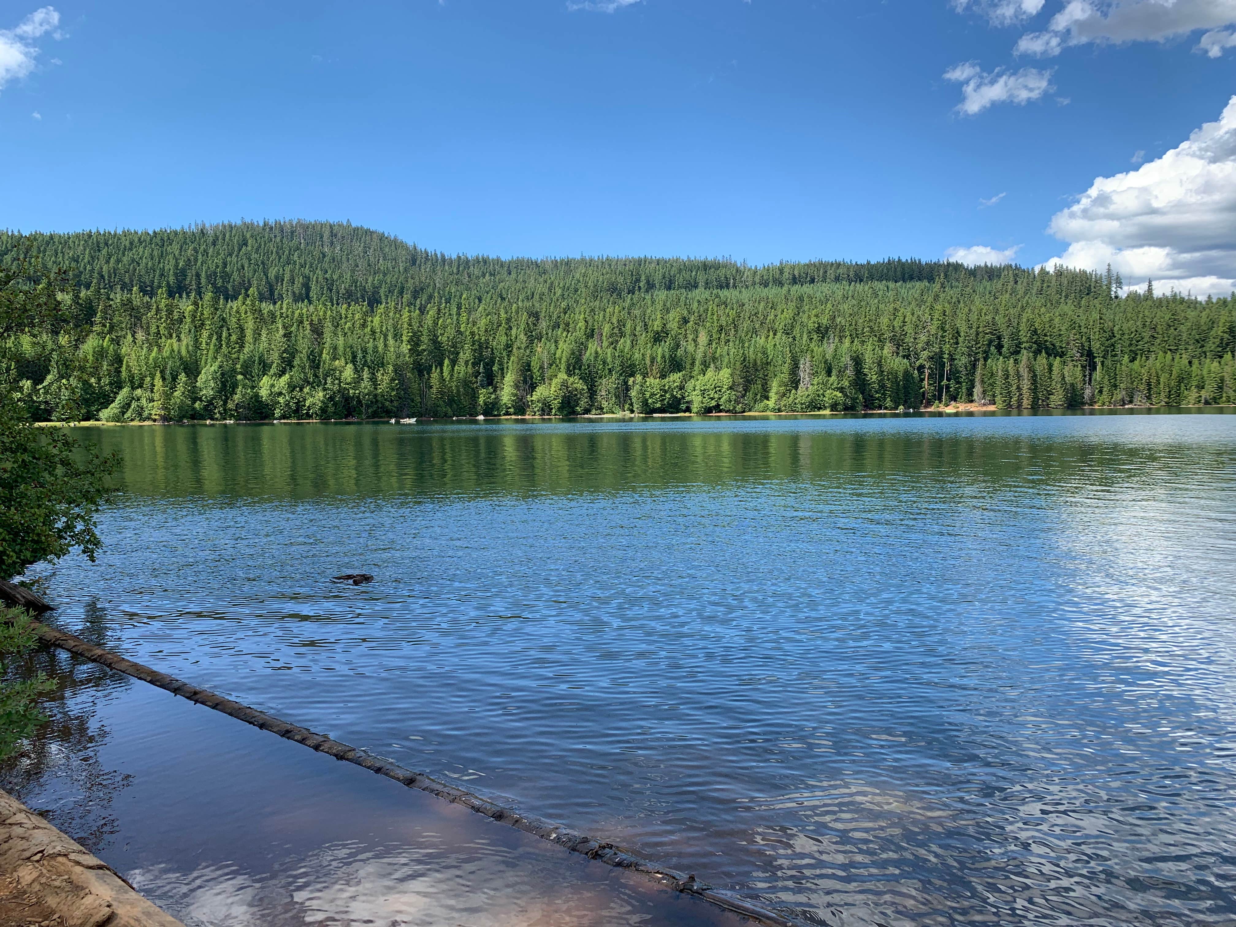 Camper-submitted photo at Meditation Point Campground near Government Camp, OR
