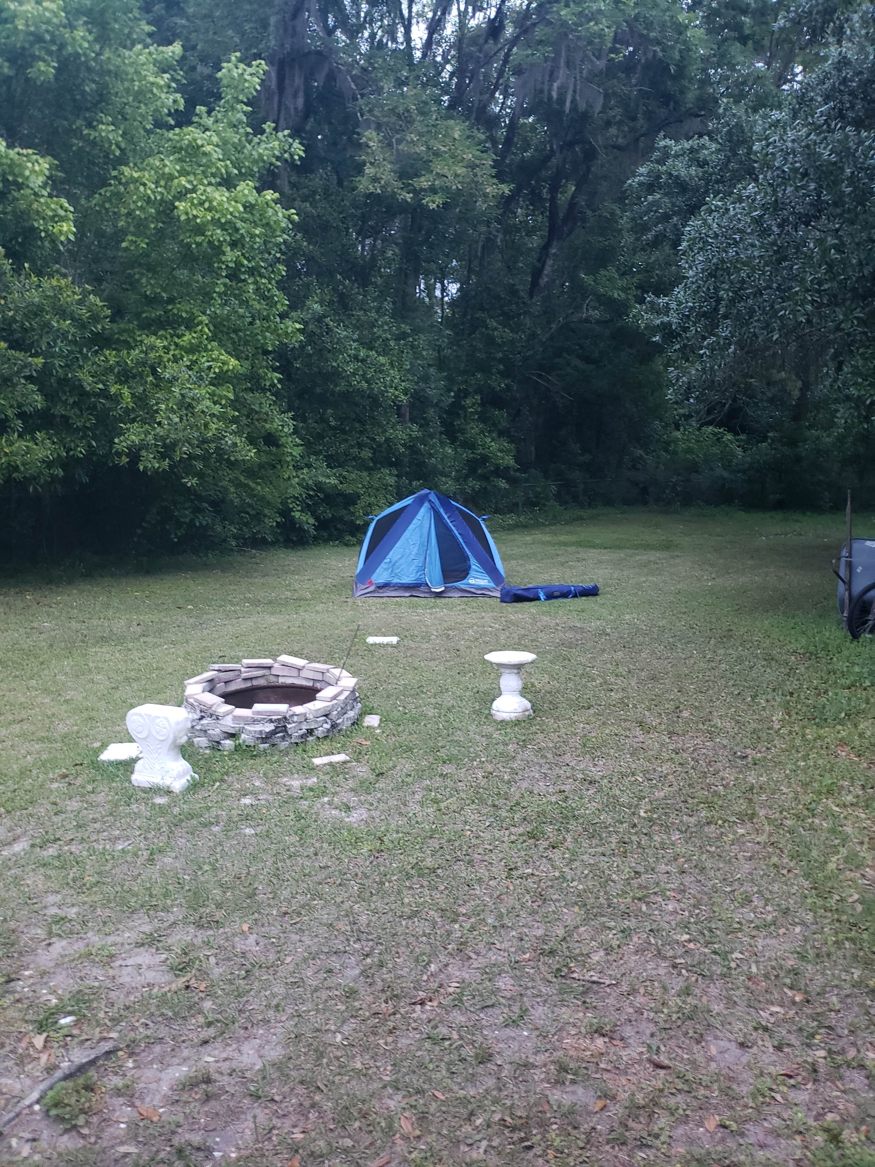 Josie J.'s photo of tent camping at West Jax Retreat near Cumberland Island National Seashore