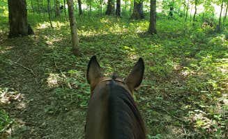 Lawrence V.'s photo of camping with a horse at Moraine View State Recreational Area in Illinois