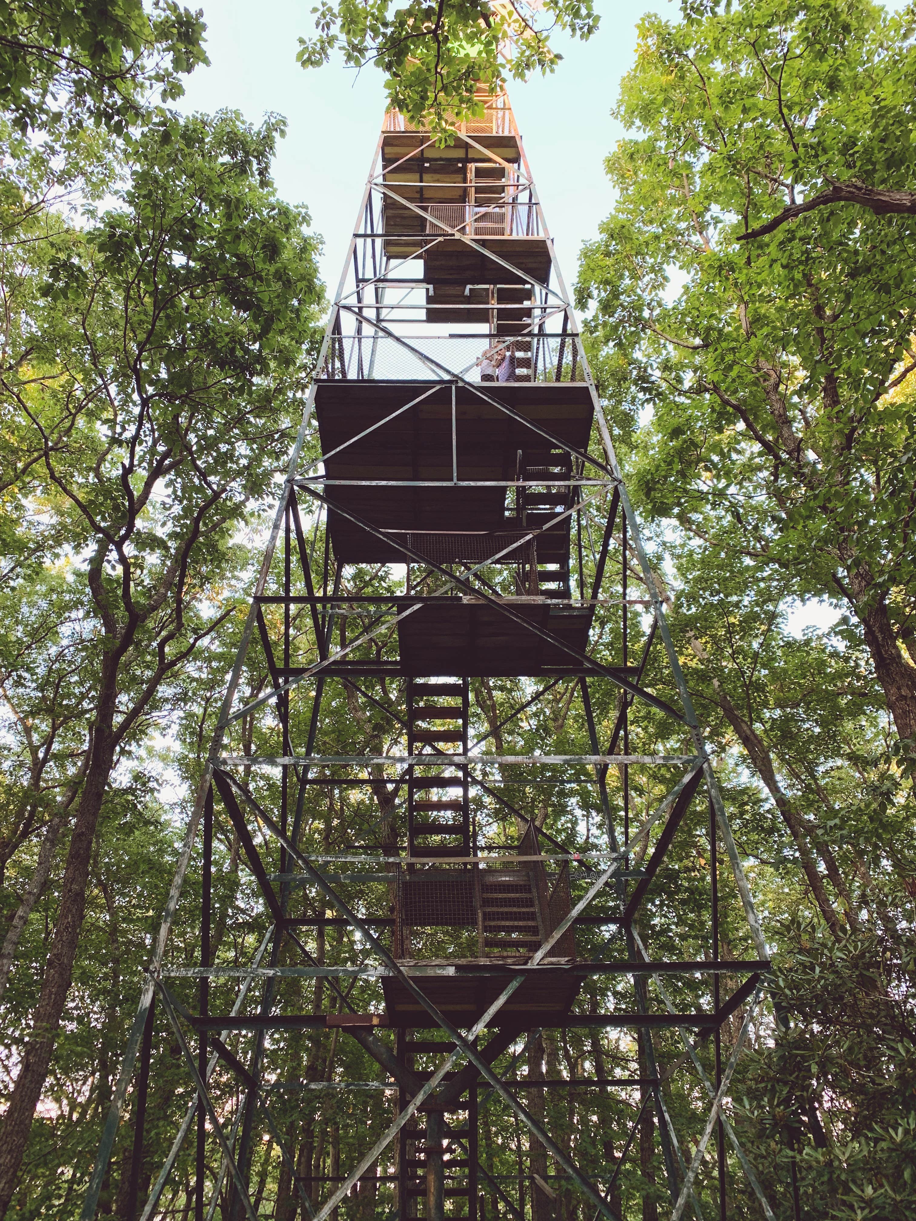 Devon D.'s photo of a cabin at Cook Forest State Park Campground & Cabins near Slippery Rock, PA