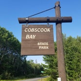 Review photo of Cobscook Bay State Park Campground by Samantha S., August 6, 2019