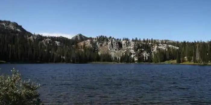 Camper submitted image from Big Trinity Cabin