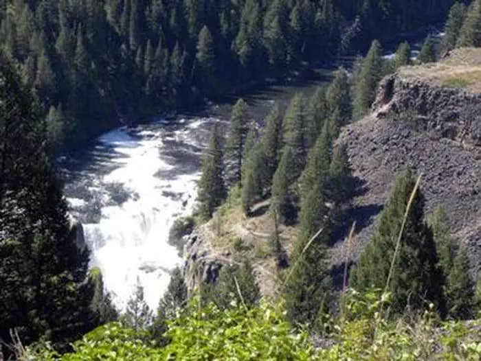 Camper submitted image from Grand View Campground (Targhee NF) - 1