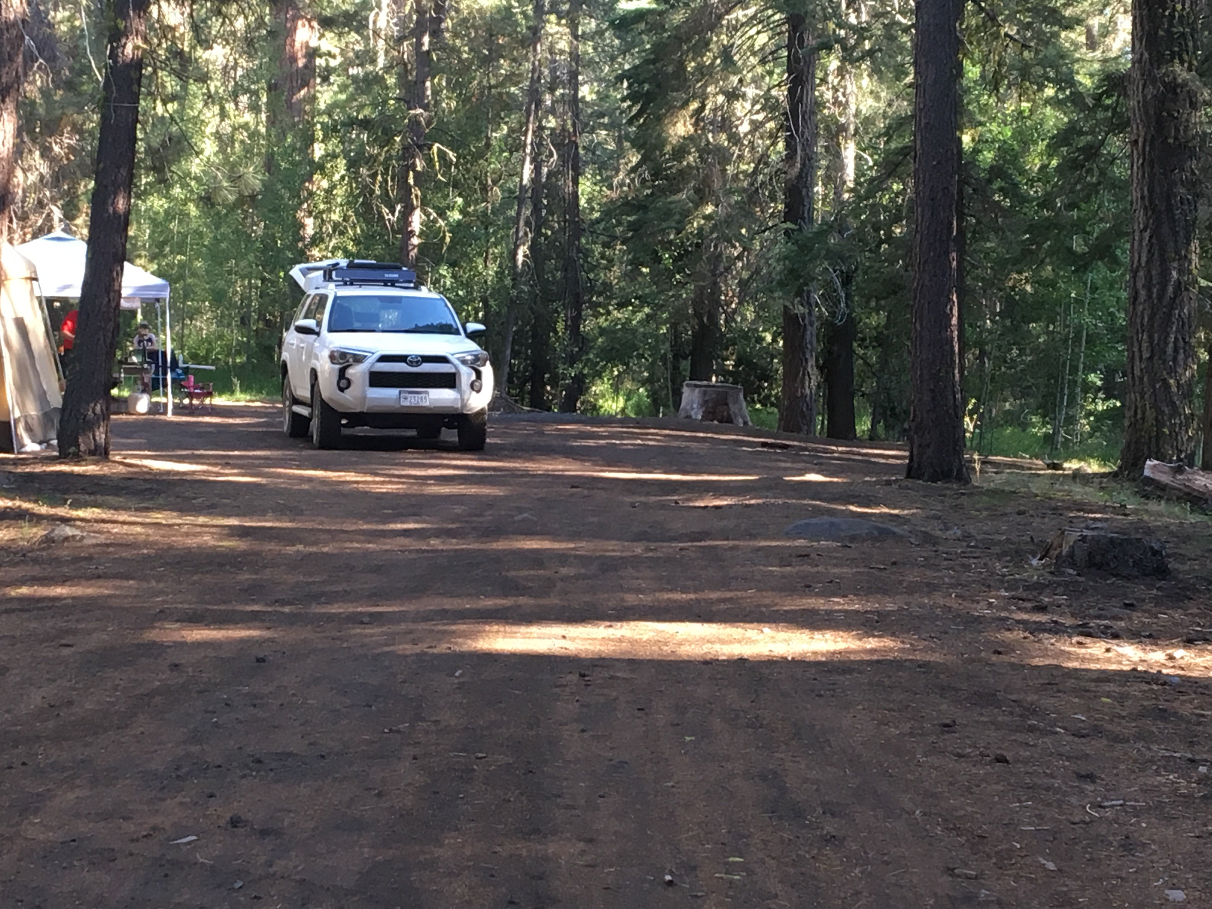 Camper submitted image from Butte Creek Campground - 4