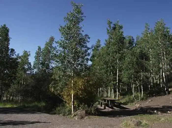 Camper-submitted photo at Bowery Creek near Emery, UT