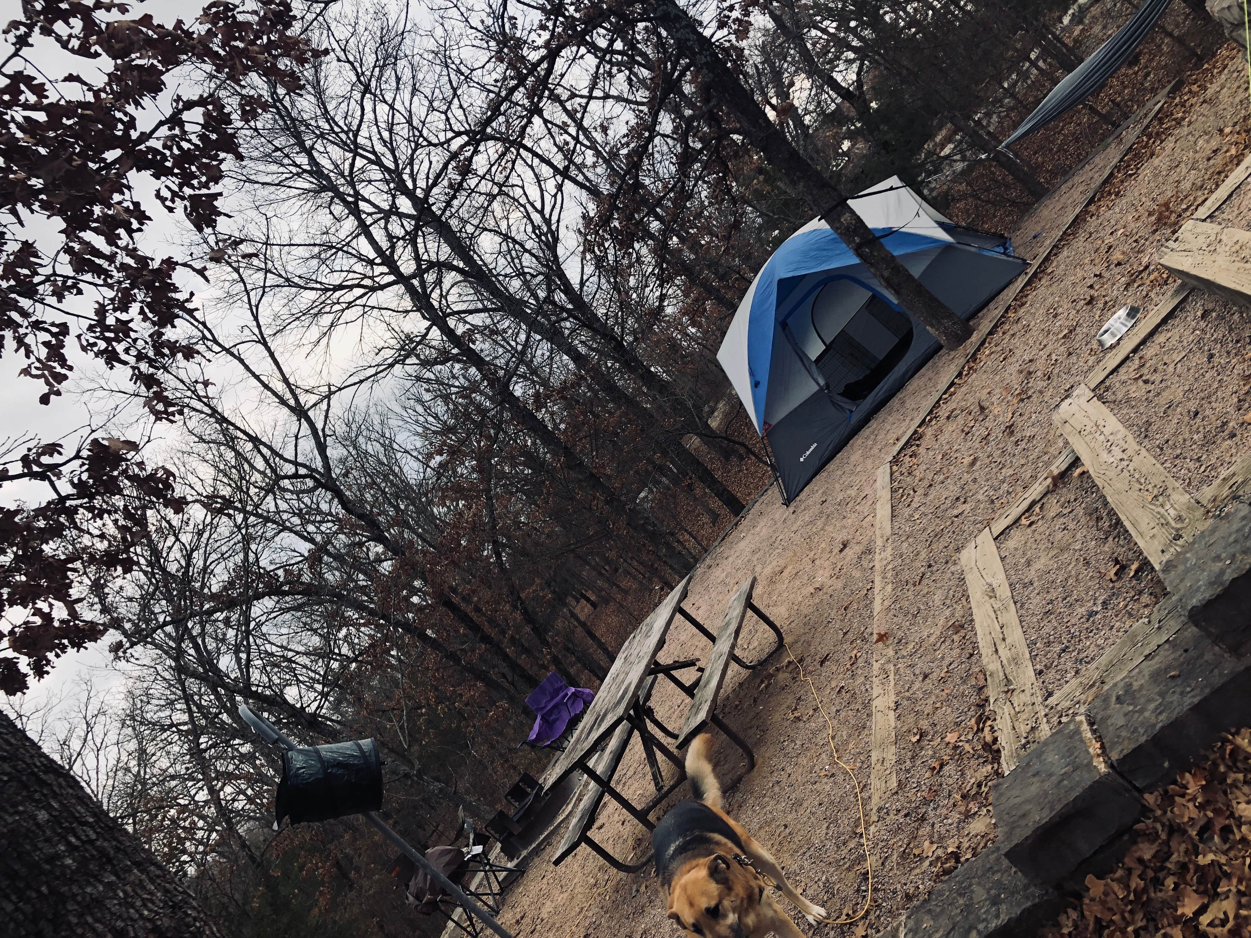 Camper-submitted photo at Buckhorn Campground Loop C — Chickasaw National Recreation Area in Oklahoma