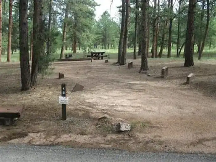 Camping near Pikes Valley Ranch: South Meadows Campground, Woodland Park, Colorado