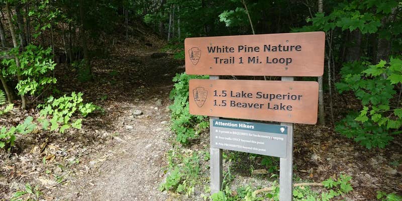 Camper submitted image from Little Beaver Lake Campground — Pictured Rocks National Lakeshore