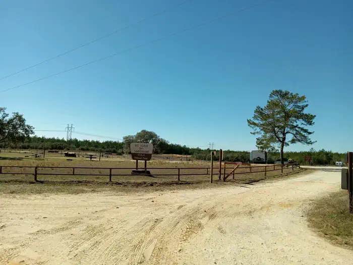 Camper submitted image from Big Scrub Campground - 1