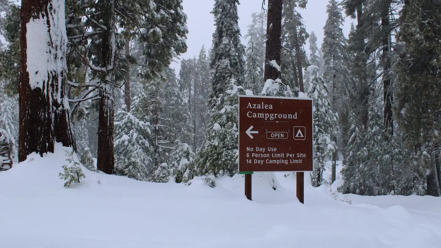 Camper-submitted photo at Azalea Campground — Kings Canyon National Park near Hume, CA