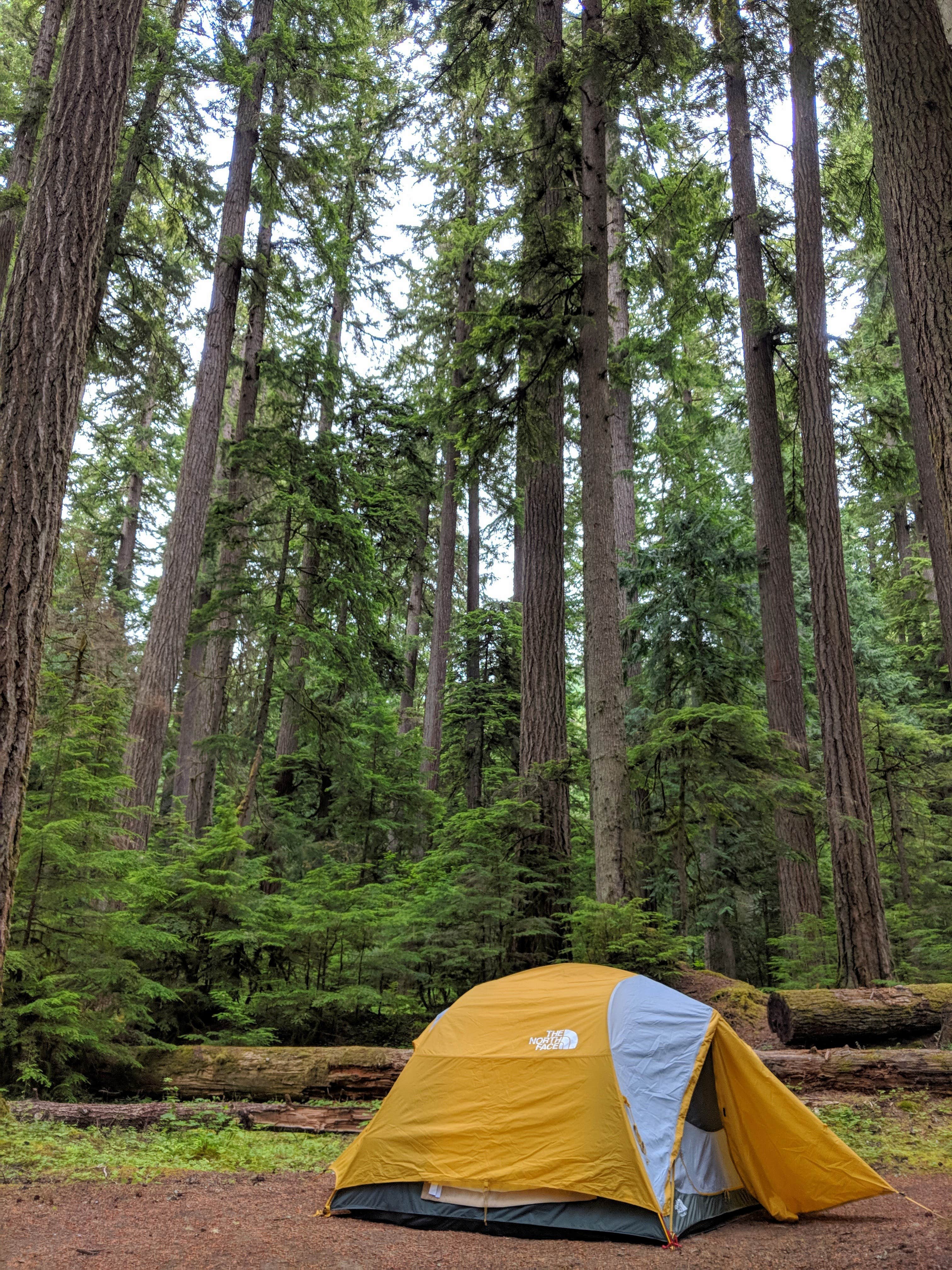 Carianne F.'s photo at The Dalles Campground near Greenwater, WA
