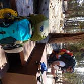Review photo of Cottonwood Pass Walk in Campground by Kristen C., September 24, 2016