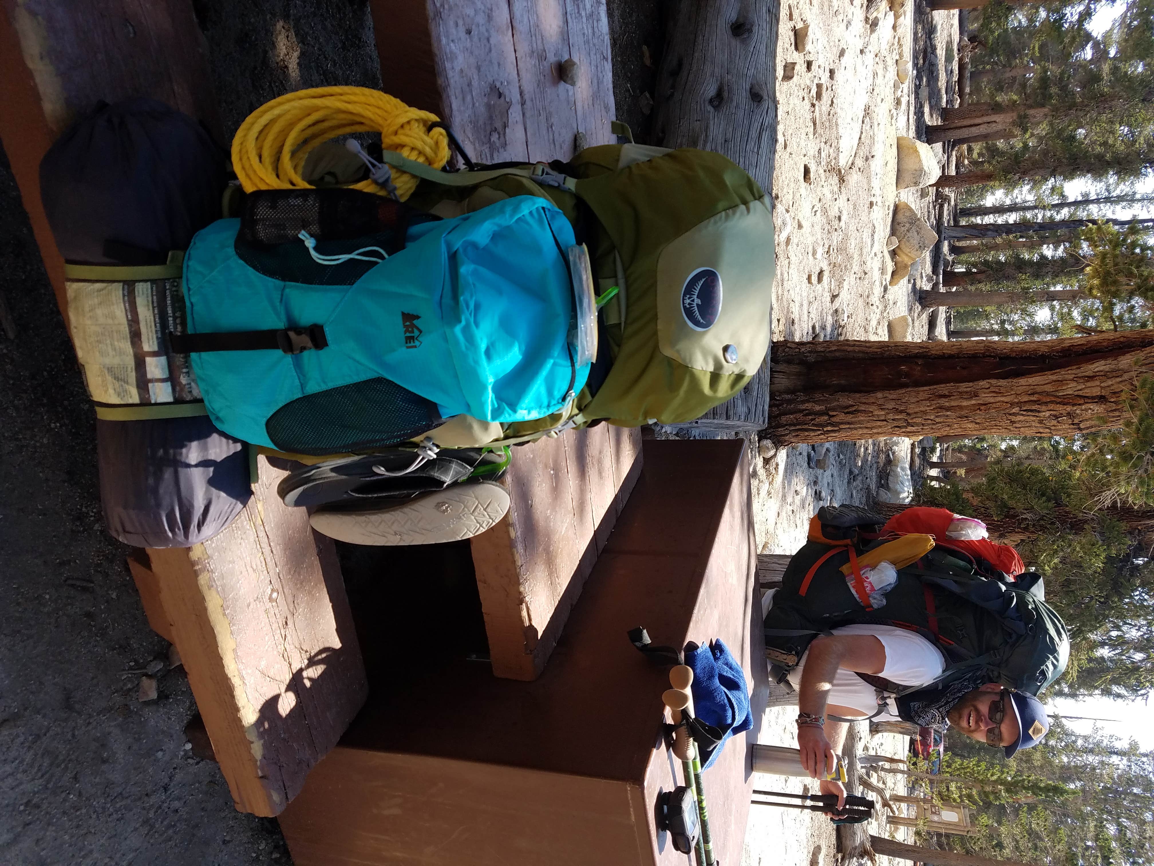 Camper submitted image from Cottonwood Pass Walk in Campground - 3