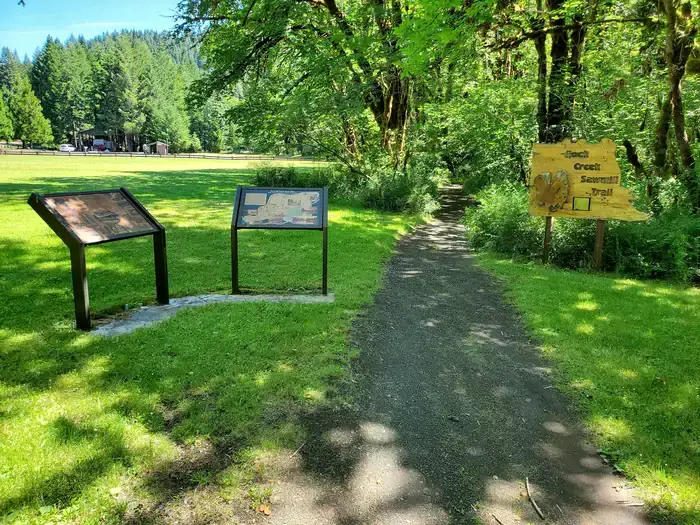 Camping near Susan Creek Campground: Millpond Recreation Site, Idleyld Park, Oregon