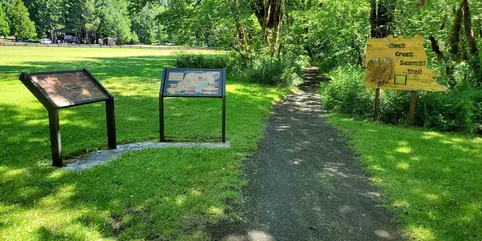 Camper submitted image from Millpond Recreation Site