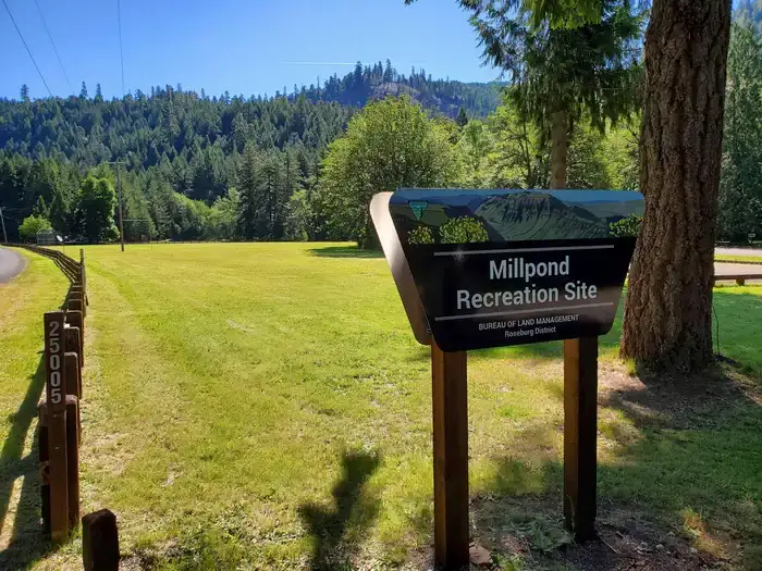 Camper-submitted photo at Millpond Recreation Site near North Umpqua River Recreation Area