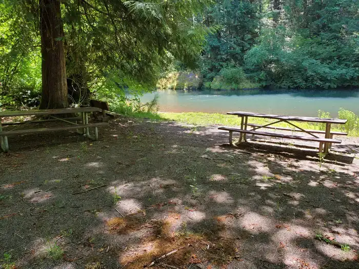 Camper-submitted photo at Millpond Recreation Site near North Umpqua River Recreation Area