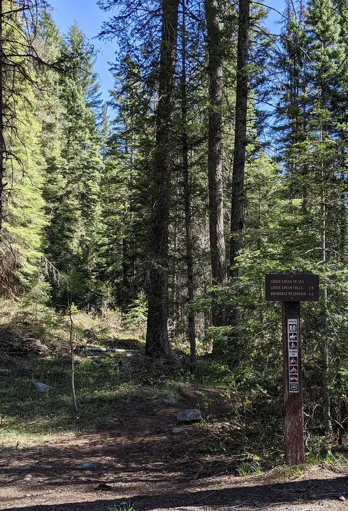 Camper-submitted photo at Last Chance Campground - CLOSED near McCall, ID
