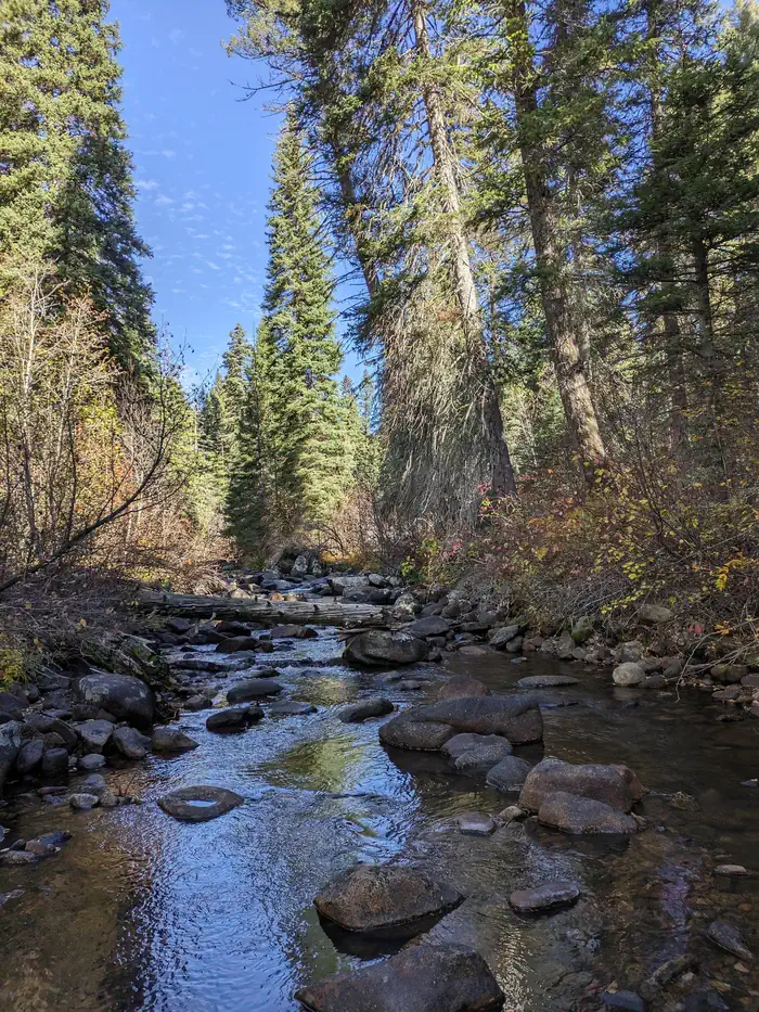 Camper-submitted photo at Last Chance Campground - CLOSED near McCall, ID