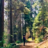 Review photo of Tenmile Campground by Emily T., August 6, 2019