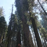 Review photo of Tenmile Campground by Emily T., August 6, 2019