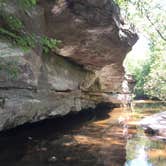 Review photo of Hawn State Park Campground by J K., August 6, 2019