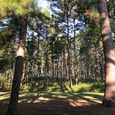 Review photo of Hawn State Park Campground by J K., August 6, 2019