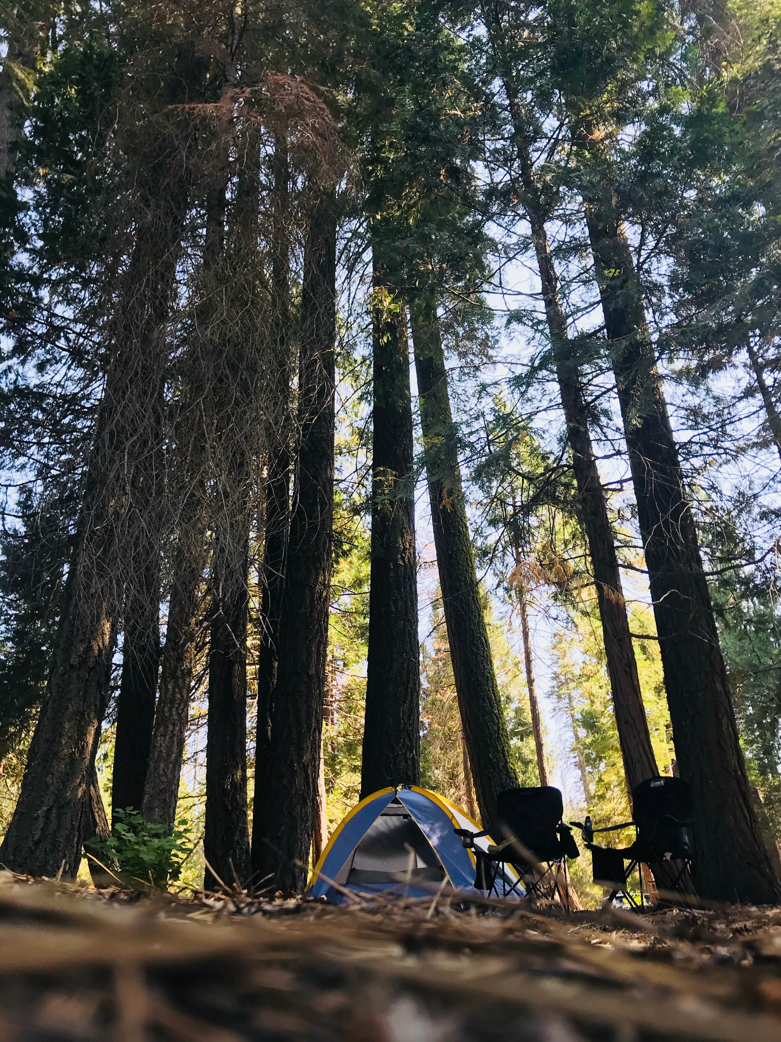 Emily T.'s photo at Ten Mile Campground (CA) near Sequoia and Kings Canyon National Parks