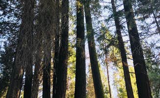 Emily T.'s photo at Ten Mile Campground (CA) near Hume, CA