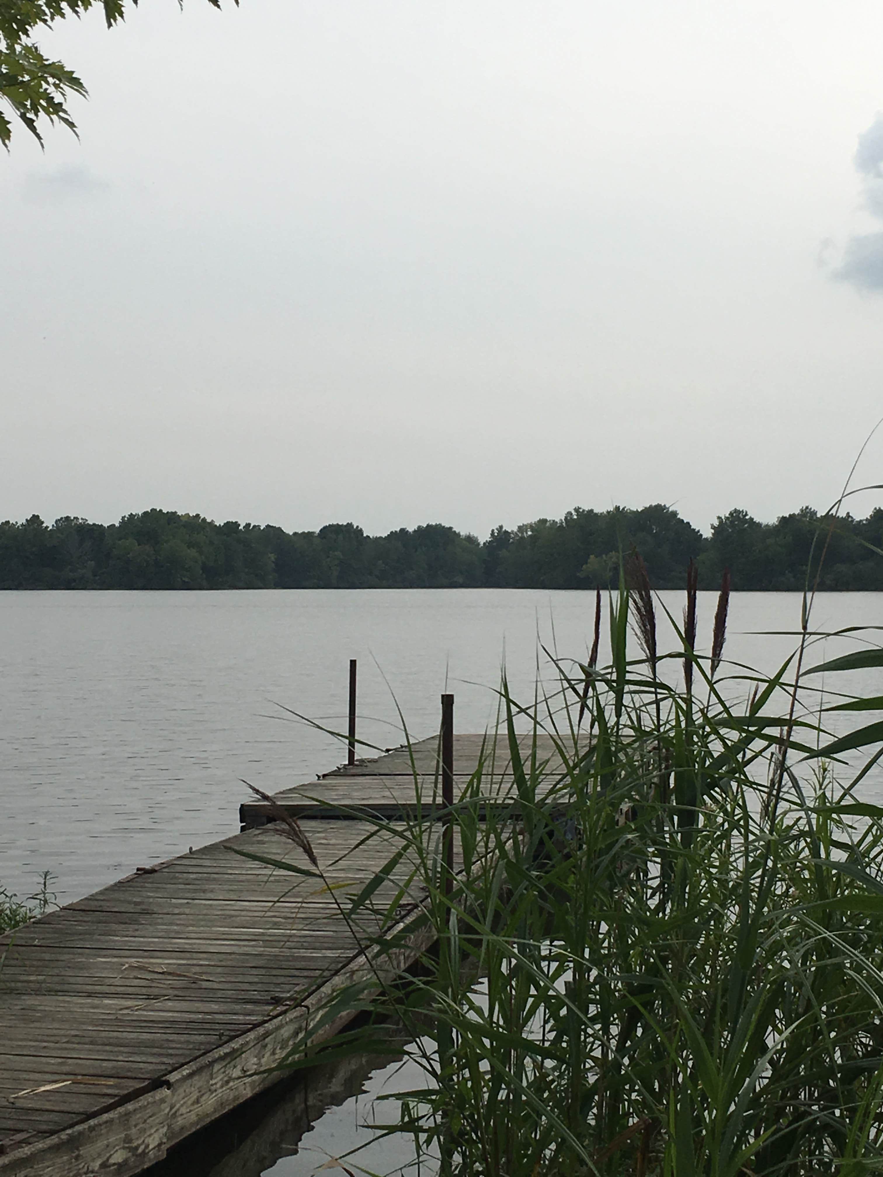 Camper-submitted photo at Sangchris Lake State Park Campground near Hillsboro, IL