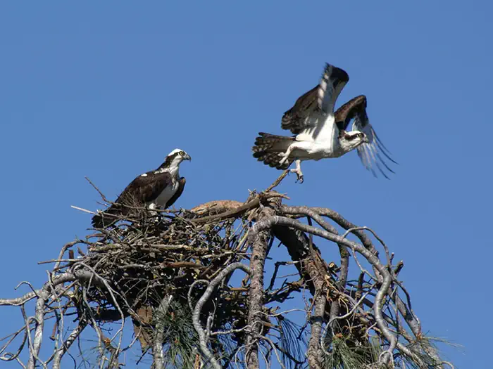 Camping near Calaveras County Frogtown RV Park: Glory Hole Recreation Area, Angels, California