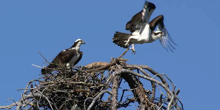 Camper submitted image from Glory Hole Recreation Area