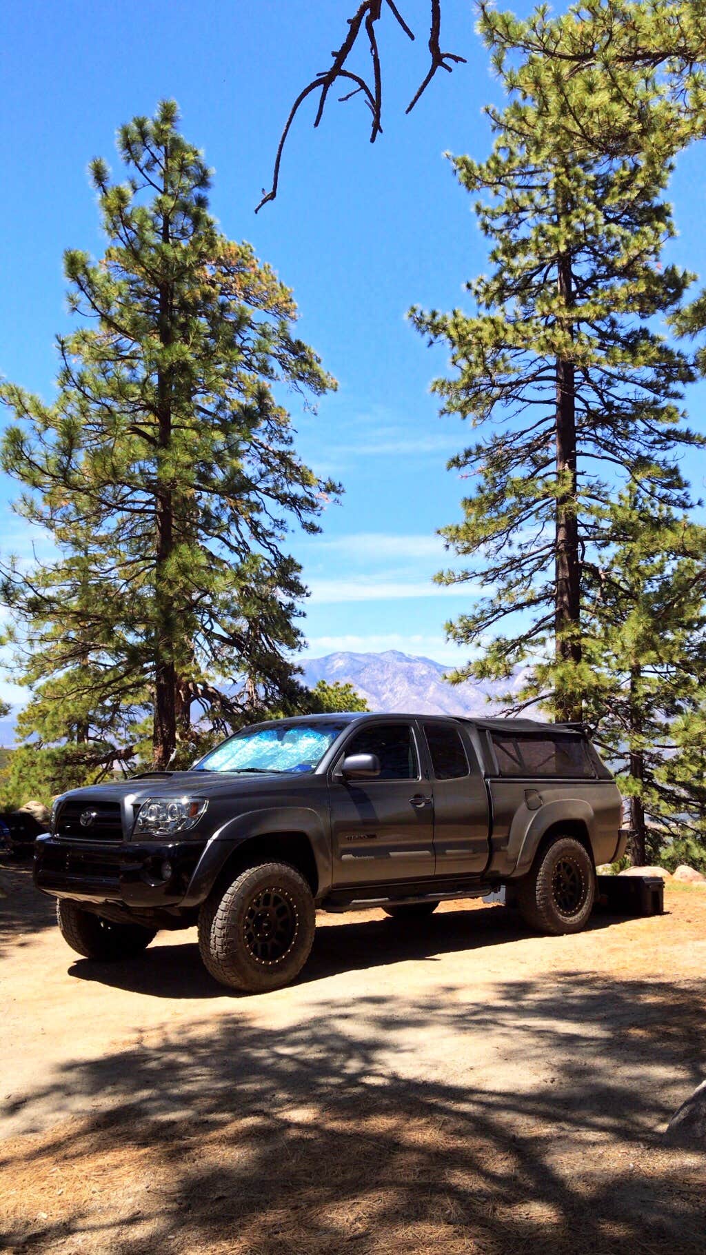 Tool Box Springs Yellow Post Campground Anza, CA